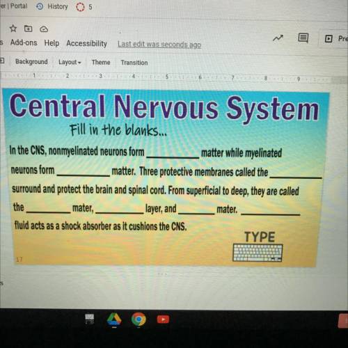 Central Nervous System

Fill in the blanks...
In the CNS, nonmyelinated neurons form
matter while