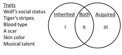 A student is given a list of traits and is asked to organize them in a Venn diagram as shown below.