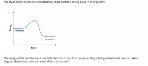 The graph below represents a biochemical reaction that is taking place in an organism: