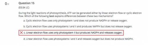 During the light reactions of photosynthesis, ATP can be generated either by linear electron flow o