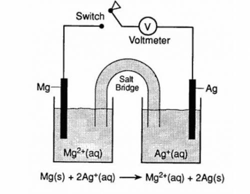 Base your answer on the equation and diagram below represent an electrochemical cell at 298 K and 1