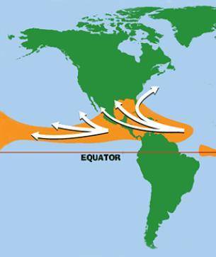On the map below, the white arrows represent likely paths of hurricanes.

 Which of the following