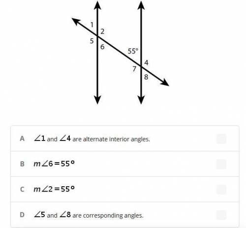 In the diagram, two parallel lines are intersected by a transversal.

Which statement is true?
Geo
