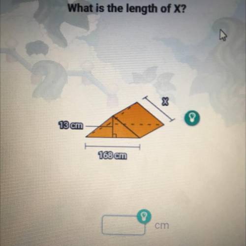 What is the length of X?
