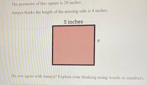 The perimeter of this square is 20 inches.

Amaya thinks the length of the missing side is 4 inche