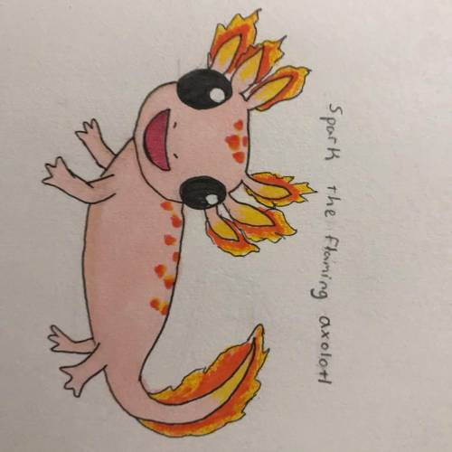 If you like axolotls, name every kind there is! ⊆(°Δ° )⊇