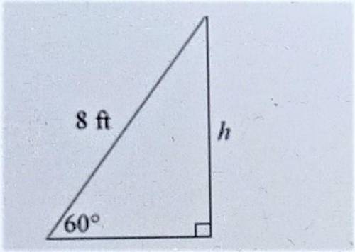 Angle Relationships

Determine the height of each triangle. Round to the nearest foot.
a. 7 ft
b.