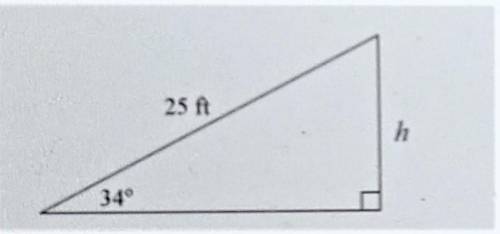 Angle Relationships

Determine the height of the triangle. Round to the nearest foot.
a. 12 ft
b.