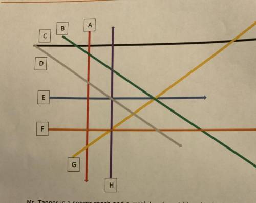 Where are the parallelograms in this picture?