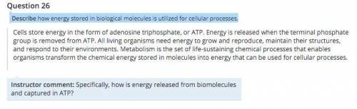 Describe how energy stored in biological molecules is utilized for cellular processes.

 My answer