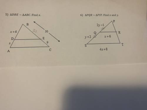 Need help with question 5 & 6 please