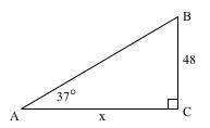 Solve for the length of x
