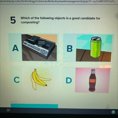 Which of the following objects is a good candidate for composting?
