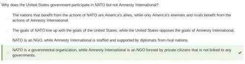 Why does the United States government participate in NATO but not Amnesty International?

The natio