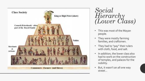 How does the Mayan social hierarchy compare to the social hierarchy of medieval Europe? What do the