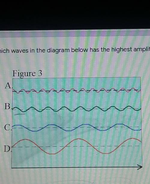 Which wave in the diagram below has the highest amplitude?​