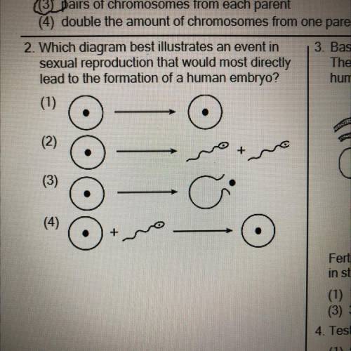 2. Which diagram best illustrates an event in

sexual reproduction that would most directly
lead t