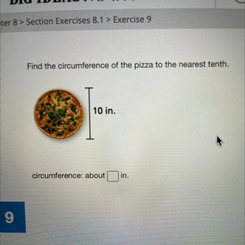 Find the circumference of the pizza to the nearest tenth (10in)