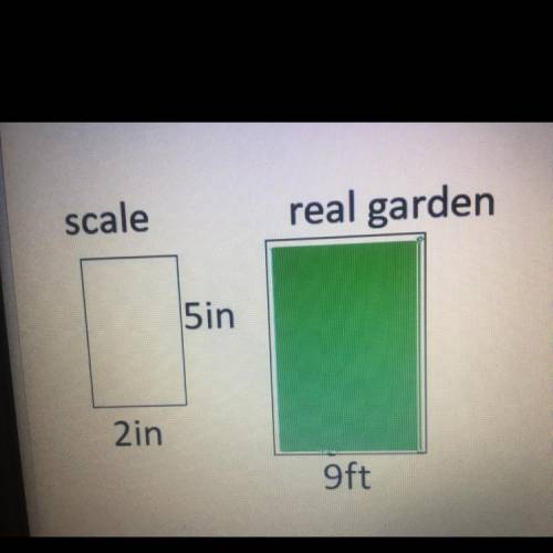 Please help!!!

Ms. Blue wants to build a garden in her back yard. She first builds a scale model.