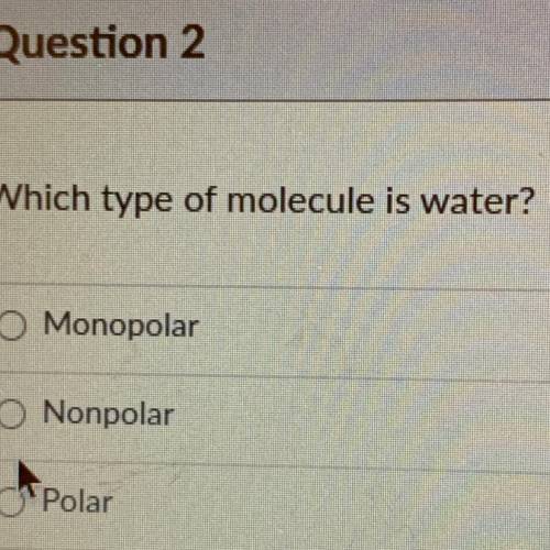 Which type of molecule is water