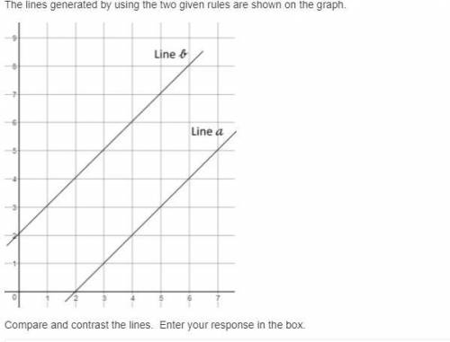 Compare and contrast the lines. Enter your response in the box.
