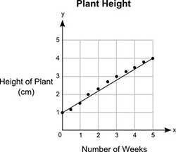 What would most likely be the approximate height of the plant after 7 weeks?

5.2 centimeters
7.6