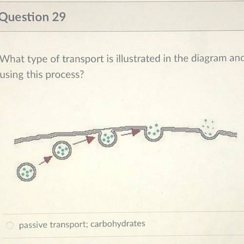 What type of transport is illustrated in the diagram and what type of molecule would be transported