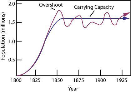 What is the relationship between the carrying capacity and productivity of an an ecosystem