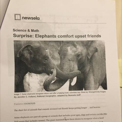 After reading The Most Dangerous Game by Richard Connell and the article Surprise:

Elephants C