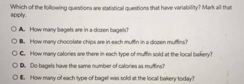 PLEASE HELP! Which are the following questions are statistical questions? mark all that apply. (No