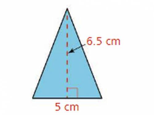 Find the area of the triangle in the picture.