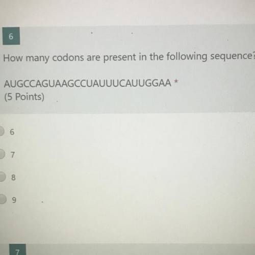 How many codons are present in the following sequence???