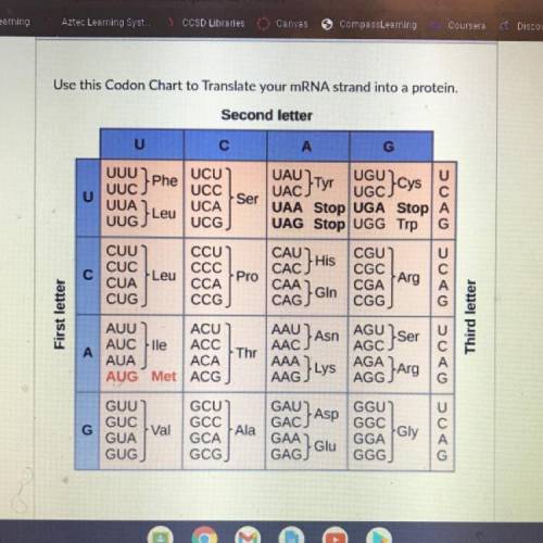 Use this Codon Chart to Translate your mRNA strand into a protein.
Second letter
