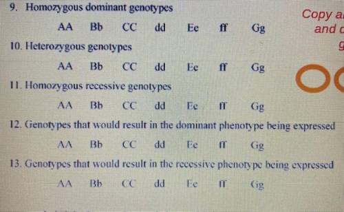 Can someone help me please this is due today I don’t get it (monohybrid crosses)