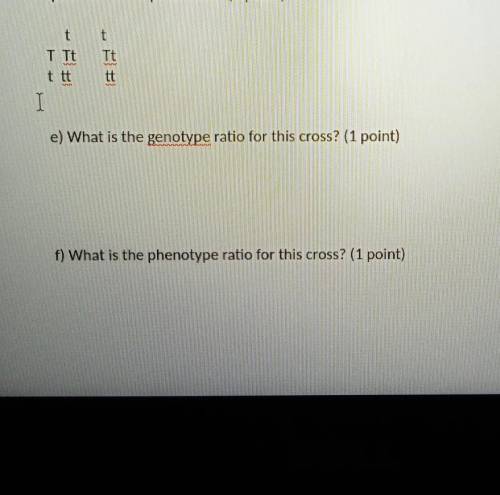 Genotype and phenotype ratio for this cross?​