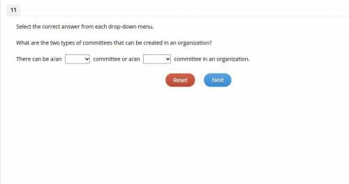 What are the two types of committees that can be created in an organization?

There can be a/an co