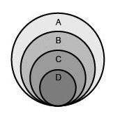An unlabeled hierarchical diagram of various astronomical bodies is shown below. The labels A, B, C