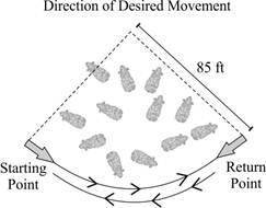 (09.04 MC)

The figure below shows the ideal pattern of movement of a herd of cattle, with the arr