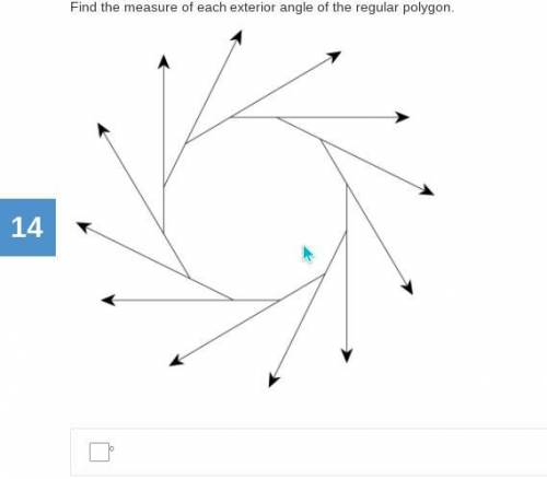 Find the measure of each exterior angle of the regular polygon.