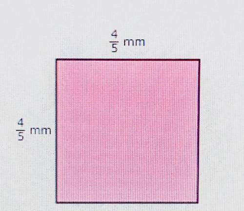 What is the area?

Write your answer as a fraction or as a whole or mixed number. And please expla