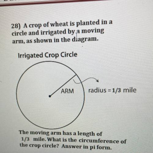 28) A crop of wheat is planted in a

circle and irrigated by a moving
arm, as shown in the diagram