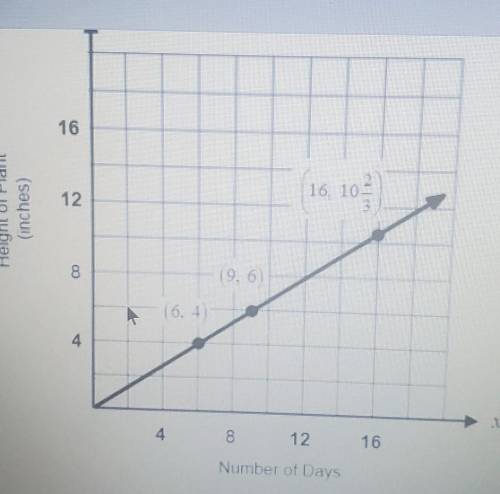 Which equation represents the relationship between x and y shown in the graph?

PLSSS HELP IM DESP
