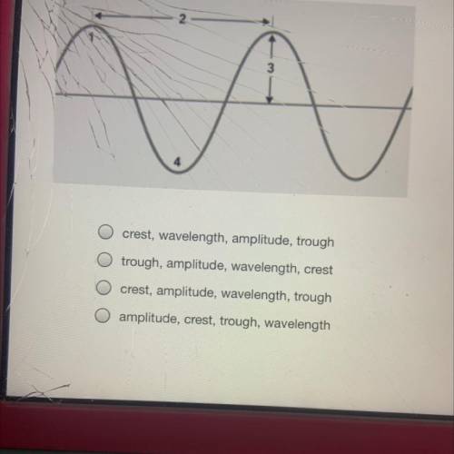 The diagram shows different parts of a transverse wave. Which of the following correctly shows the