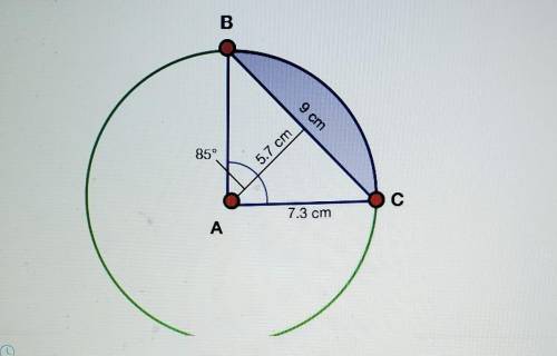 Please help!

6. What is the area of the shaded region created by segment BC? work. (Look closely
