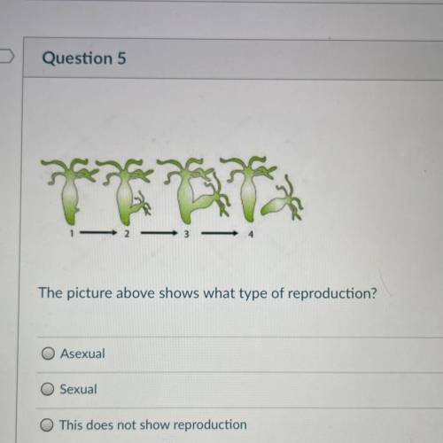 The picture above shows what type of reproduction?

1.Asexual
2.Sexual
3.This does not show reprod