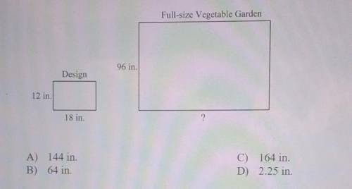 10. Coby designs a rectangular vegetable garden. What will be the length of the full-size vegetable