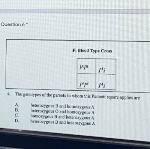 The genotypes of the parents to whom this Punnett square applies are?