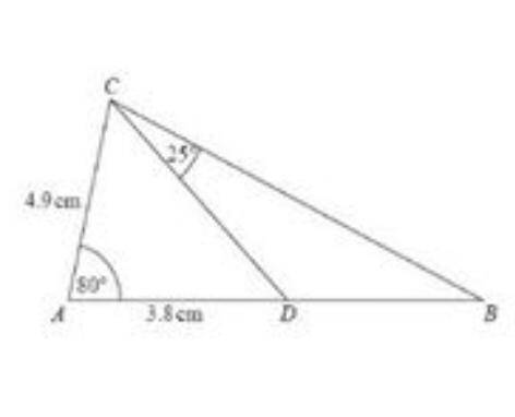 ABC is a triangle. Dis a point on AB. Work out the area of triangle BCD.

Give your answer correct