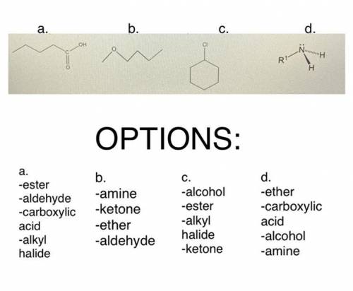 Use the drop-down menus to identify the class of compounds to which each structure belongs.

(use