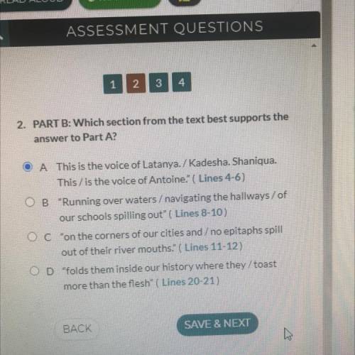 PART B: Which section from the text best supports the

answer to Part A? This is not a small voice